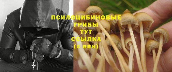 амф Абинск